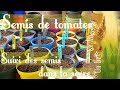 🌱 2021 - Mars- Avril - Semis de tomates - Suivi des semis dans la serre - Carrés potagers Bio 🌷