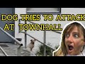 Vicious dog on the loose at otter creek townhall