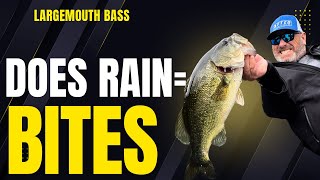Is Fishing Better in the Rain? (We Tested It)- Dave Mercer's Facts of Fishing THE SHOW Ep 1704