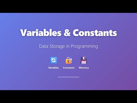 Variables and Constants in Programming | Data Storage Explained