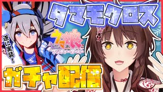 【ウマ娘】クリスマスをタマモクロスと一緒に過ごす！！【にじさんじフミ】