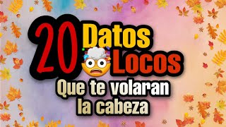 30 DATOS que te VOLARÁN la CABEZA 🤯 | PerryYutub