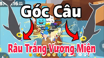 Play Together | Góc Câu CÁ VOI RÂU TRẮNG Vương Miện | Lão Cá PLAY