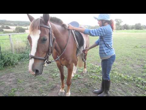 Comment monter votre cheval à partir du sol Tutorial