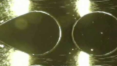 Insulator-based Dielectrophoresis of 1-um polystyrene particles