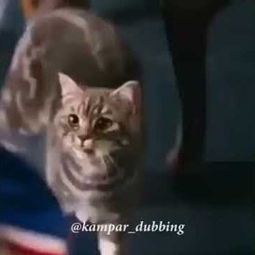 Minang kocak bahasa ocu 😂
