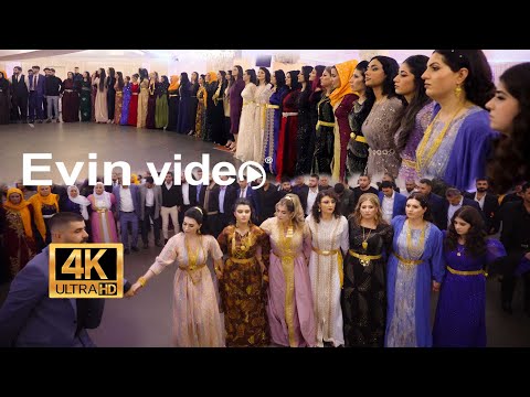 Power ŞEVKO Special - Ali Cemil - Sünneta Dodka 2023 - 4K Part 05 #EvinVideo