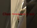 Big Ass Plane Big Ass Plane