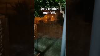 ekinleri talan etti dolu #çiftçi