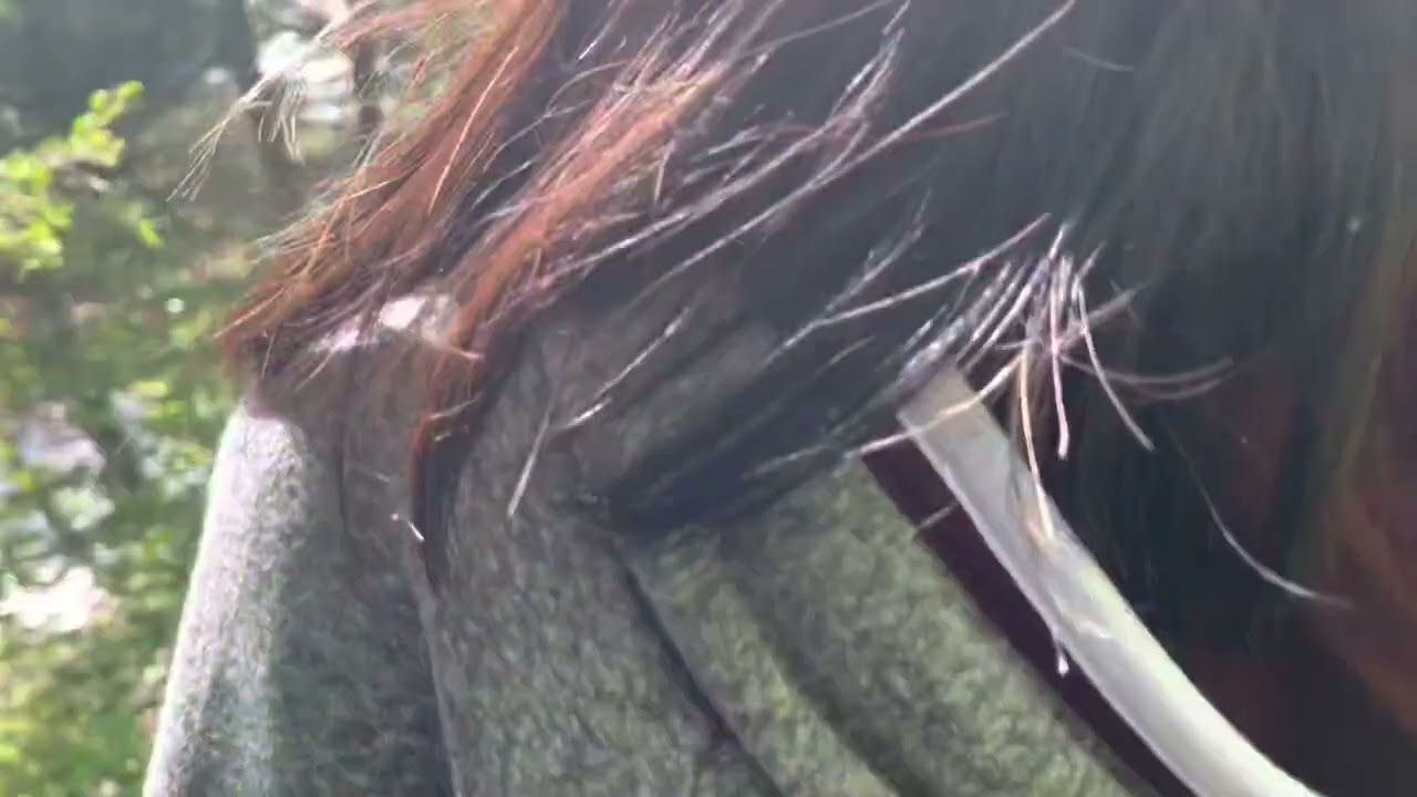 My little journey to waterfalls in Duluth City.