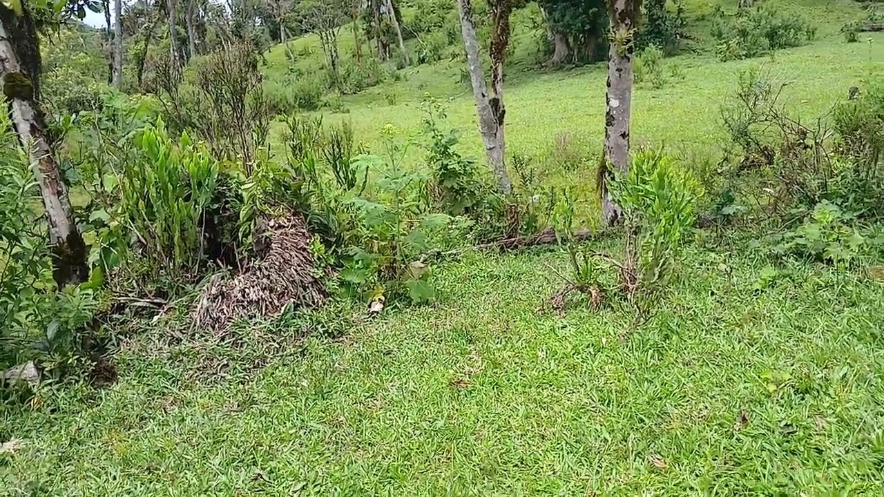 ORANDO NA IGREJA; NO SÍTIO PARAÍSO! VAMOS ORAR? JUNTOS; AQUI! ELEVA O SEU PENSAMENTO AO CÉU! OREMOS!