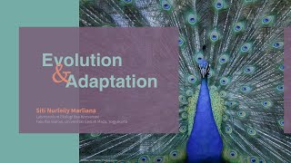 Kuliah Ekologi Populasi: Evolusi dan Adaptasi