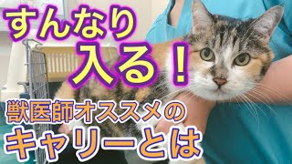 キャリーの入れ方 嫌がる猫もこれですんなり 誰でも簡単にできるコツを獣医師が紹介します おすすめキャリーもご紹介 Youtube キャリーの入れ方 嫌がる猫もこれですんなり 誰でも簡単にできるコツを獣医師が紹介します おすすめキャリーもご紹介 Youtube