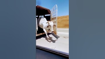 This Jump Broke Physics! | #shorts #PhysicsTrick #ScienceShorts #experiment