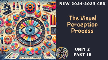 🎯The Visual Perceptual Processes - AP Psychology Unit 2 Part 2🎯