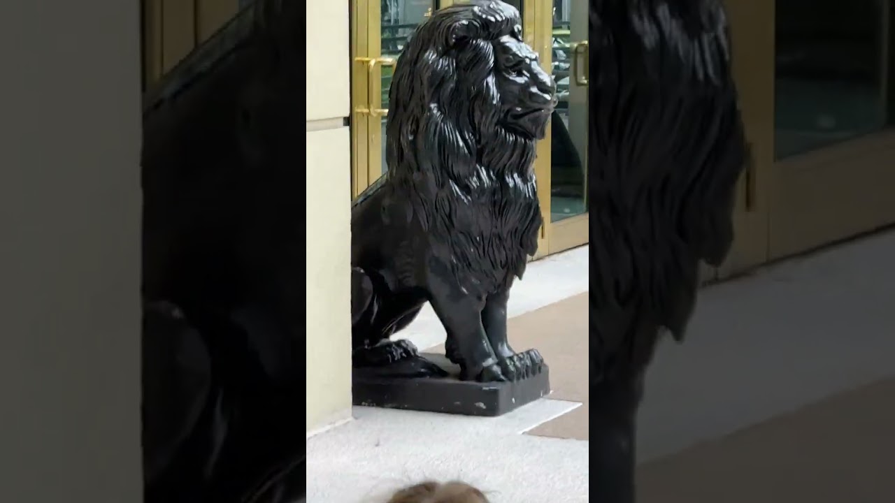 Baby Cute Walks! Toddlers enjoying outdoor activities in Miami