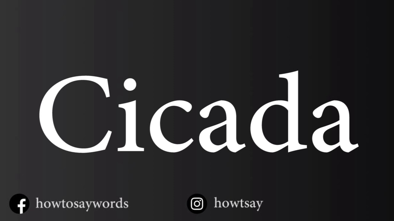 How To Pronounce Cicada YouTube