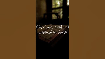 تلاوه خاشعه من سورة المؤمنون بصوت الشيخ ماهر المعيقلي #اكسبلور #القرآن_الكريم #ماهر_المعيقلي #fyp