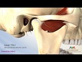 Tmj disorder or tmd  clicking and closed lock