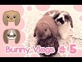 Peachie Buns Vlog #5 | Fiendish Fluff