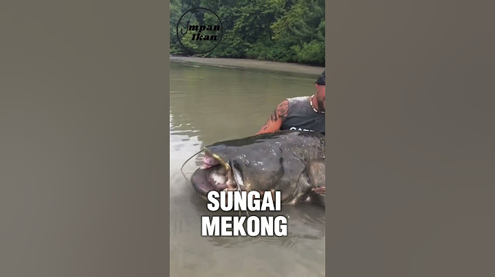 Kalau bisa mancing di mana saja, kamu pilih yang mana