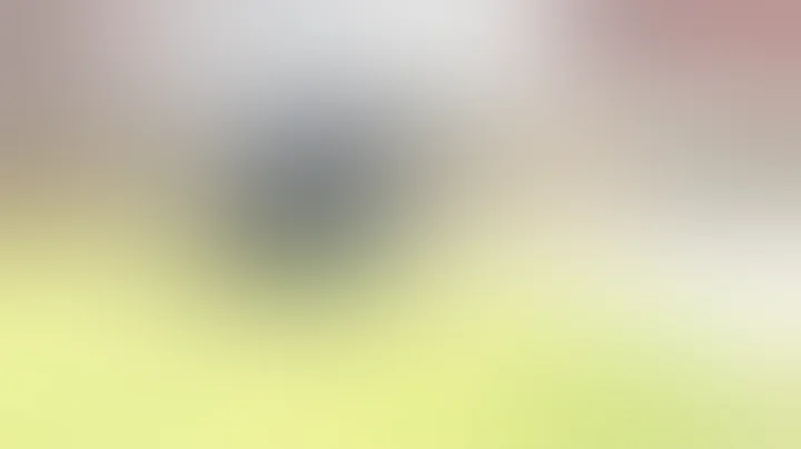 Grand Rapids police video shows Patrick Lyoya bein...