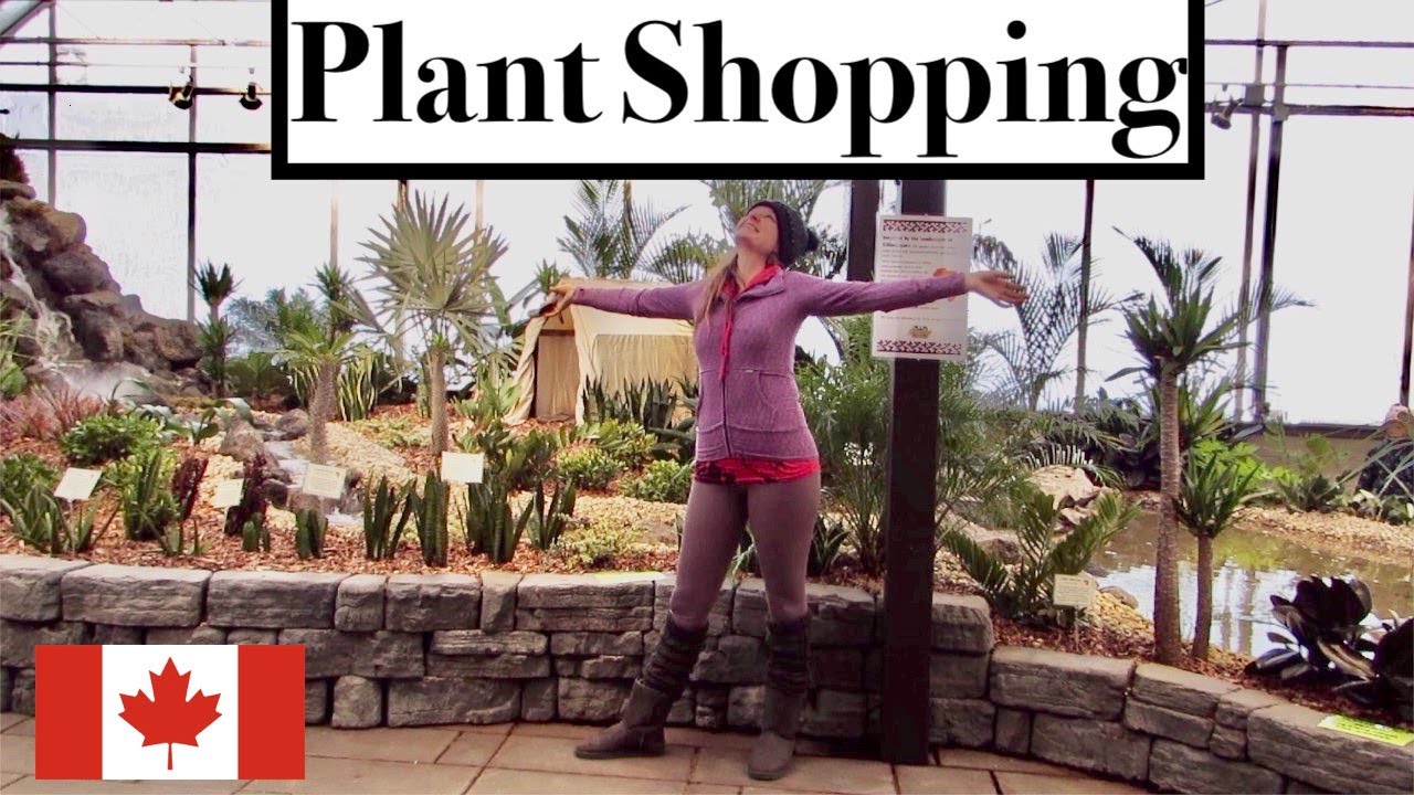 Plant Shopping Lowes, Canadian Tire & Garden Centre Tour YouTube