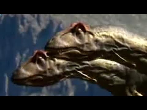 Dinosaur mating rituals - Walking with Dinosaurs - BBC