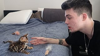 FaZe Adapt Tries to Take Care of a Cat..
