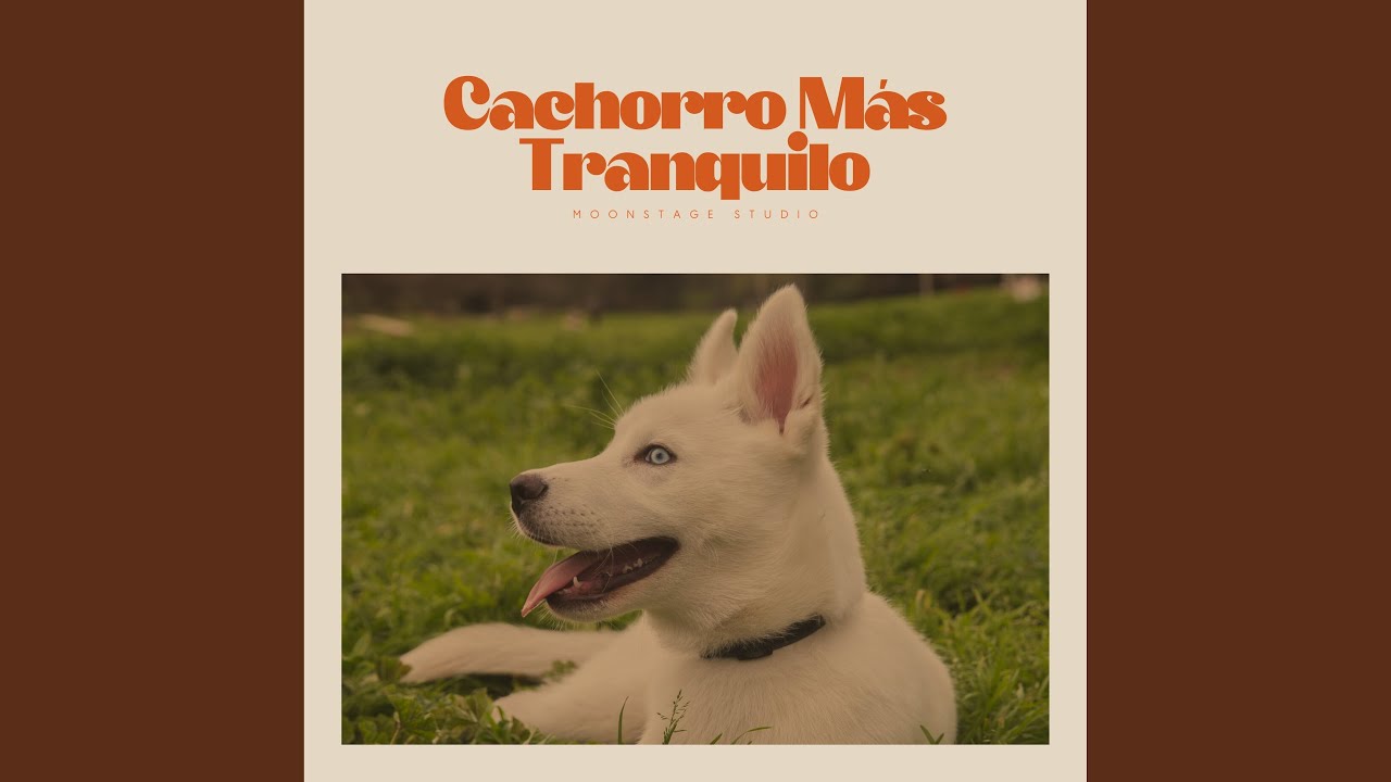 Inside the Turquoise Tea Terrace