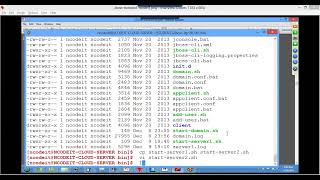 Famous 09 567 JBoss Clustering Model1 Server Startup Profile
