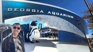 Georgia Atlanta aquarium | 16th Oct 2022