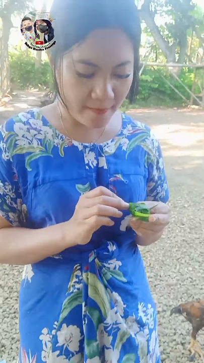 Cewek langka yang jarang di temukan #shorts #short #tutorial #ketupat #cewek