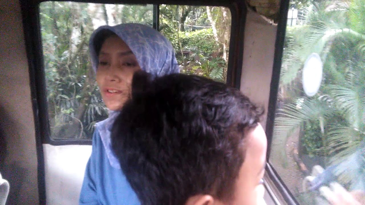 kereta wisata taman safari prigen - YouTube