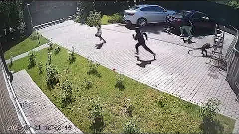 Monkey tries to kidnap a baby