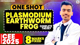 screenshot of the youtube video