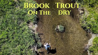 Brook Trout on the Dry : Central, NY - Fly Fishing by Dead Drift Outdoors 3,217 views 11 months ago 15 minutes