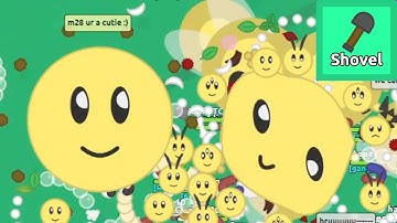 Florr.io - Touching the Developer