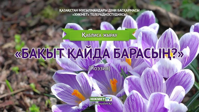 Порно лесбиянка стюардессалары