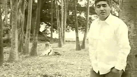 Hugo Villarreal - Fue Diciembre