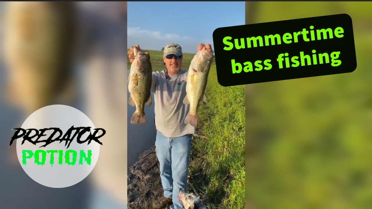 Summertime bass fishing