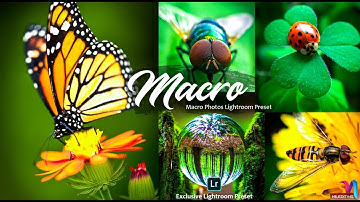 How To Edit Macro Photos in Lightroom | Premium Presets DNG & XMP Free Download