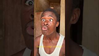 Unique amazine Parrot Trap Using Paper #shorts #youtubeshorts #funny #ytshorts #nature #viralvideo