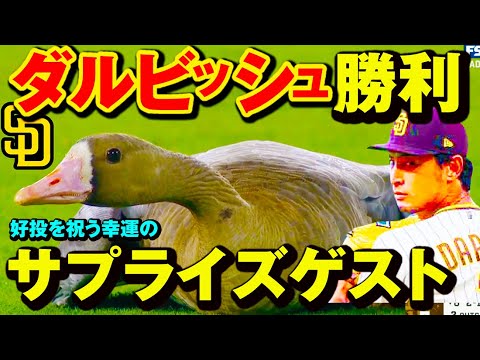 ダルビッシュの好投を祝うサプライズゲスト!?ダルビッシュ有ドジャースに勝利！ポストシーズン２連勝！！