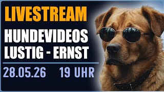 Reaktion eines Trainers - authentisch und spontan