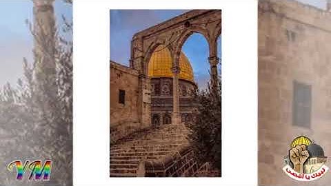 66  سورة   التحريم القارئ سعد الغامدي