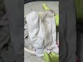 Is the white socks yellow and can t be washed clean This fairy method is absolutely wonder