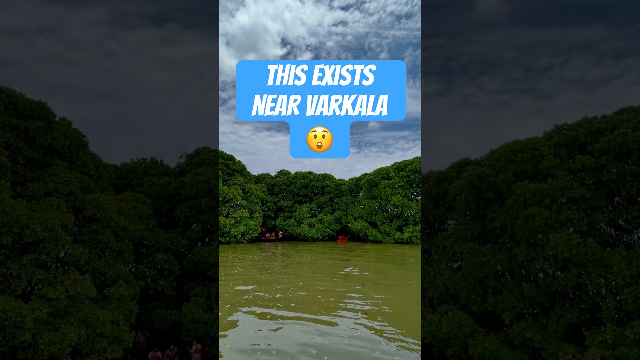Kerala’s Silent Guardians | Mangroves Near Varkala. Varkala beyond Beaches.