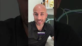 Neuropathy Explained: Causes, Symptoms & 3 Nerve Support Tips