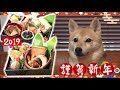 2019年の犬用おせちは今までとは比べ物にならないほどの超豪華！！